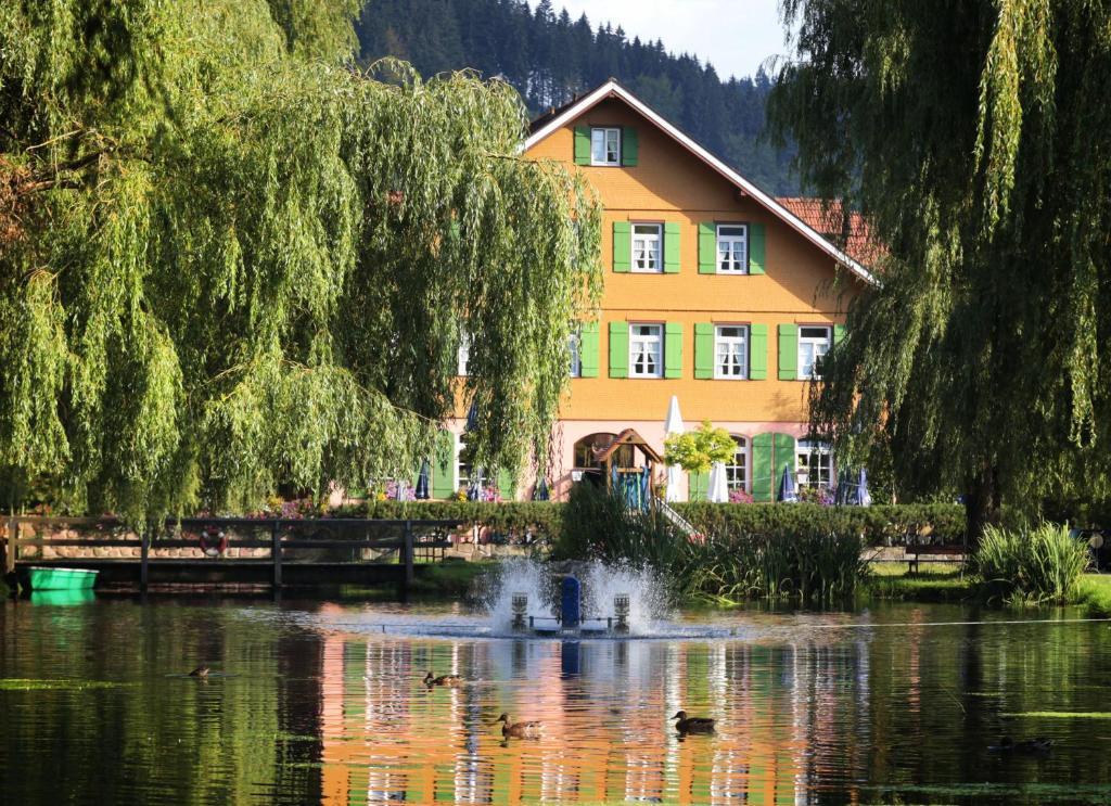 Hotel Zur Alten Muehle Neuenburg  Buitenkant foto
